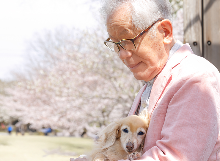 大切な存在との時間を思い返すイメージ