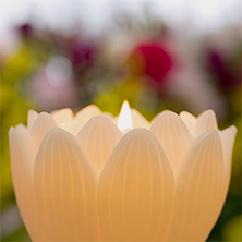 蓮のローソクで暖かさと理解のイメージ